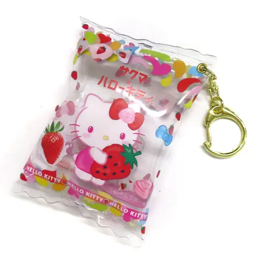 Key Chain - Sanrio characters / Hello Kitty