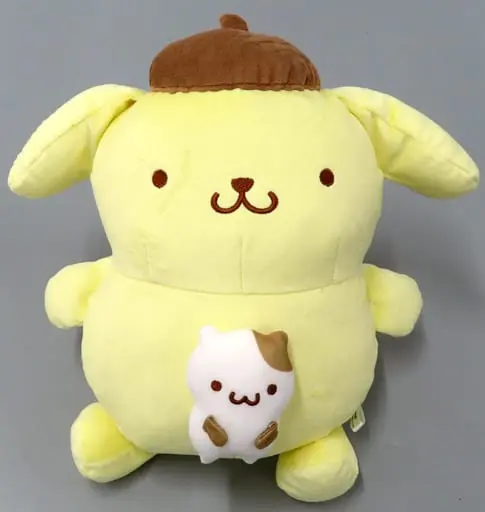 Plush - Sanrio / Pom Pom Purin