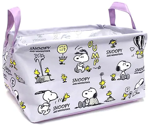 Storage Box - PEANUTS / Snoopy & Woodstock