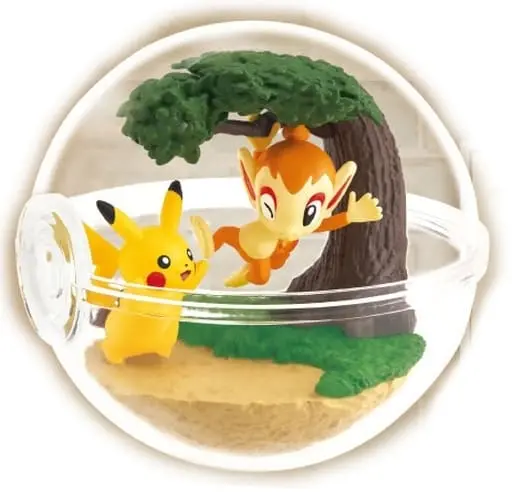 Terrarium Collection - Pokémon / Pikachu & Chimchar