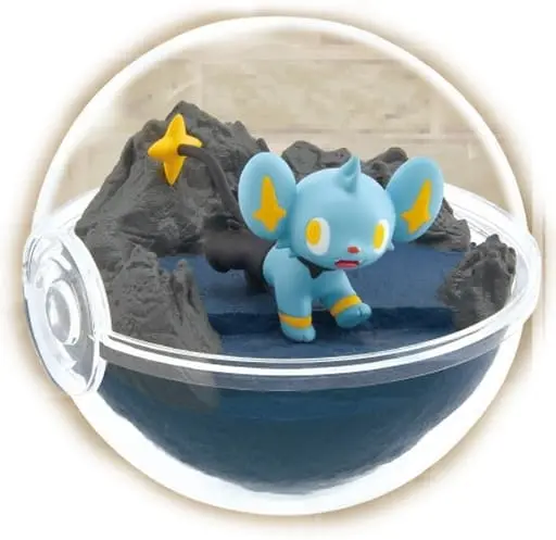 Terrarium Collection - Pokémon / Shinx