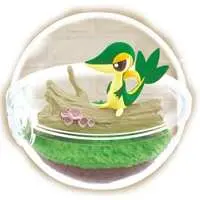 Terrarium Collection - Pokémon / Snivy