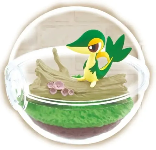 Terrarium Collection - Pokémon / Snivy