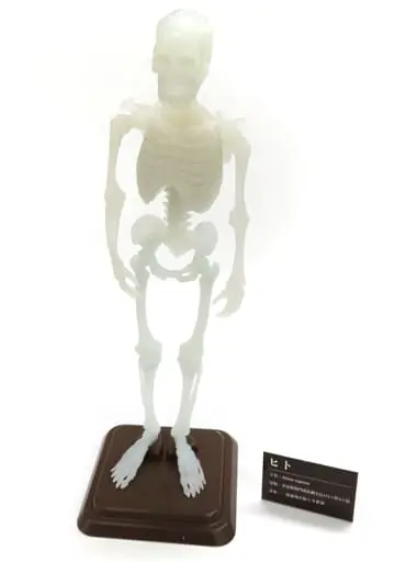 Trading Figure - Museum Modeling Club