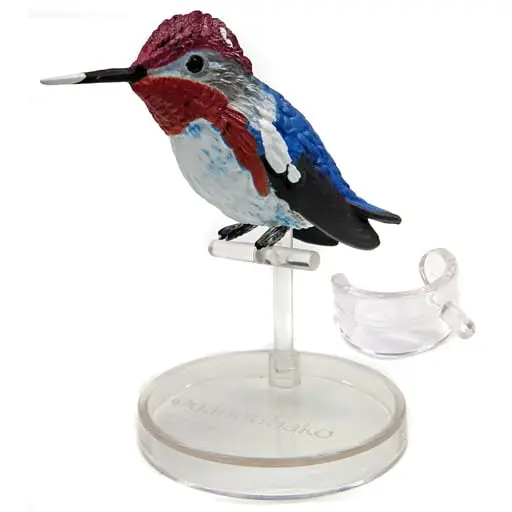 Trading Figure - Hummingbird