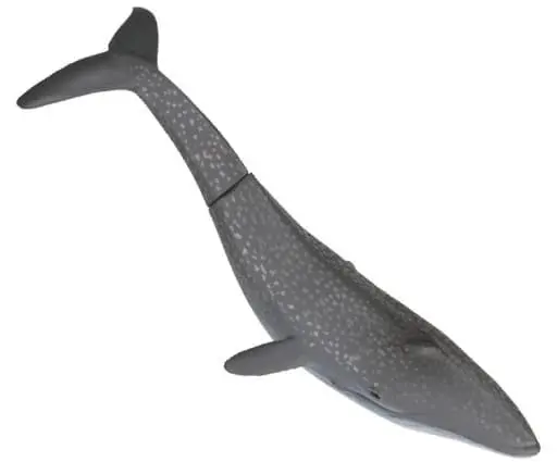 Trading Figure - Whales and sea creatures