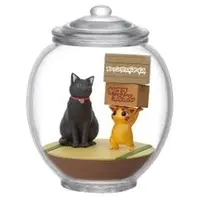 Terrarium Collection - Fushigi Dagashiya: Zenitendou