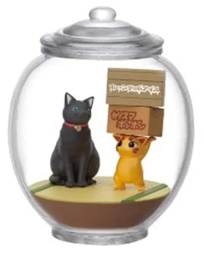 Terrarium Collection - Fushigi Dagashiya: Zenitendou