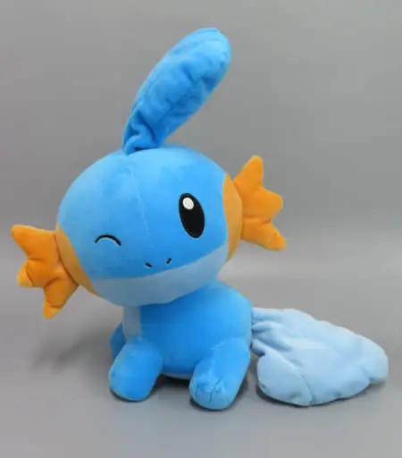 USED) Plush - Pokémon / Mudkip (ミズゴロウ ほぺぴた でっかい～シャワーズ・ミズゴロウ～ 「ポケットモンスター」) |  Buy from Kawaii Republic - Online Shop for Japanese Anime Merchandise