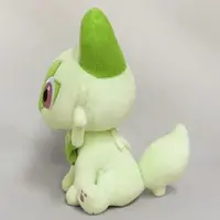 Plush - Pokémon / Sprigatito