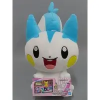 Plush - Pokémon / Pachirisu