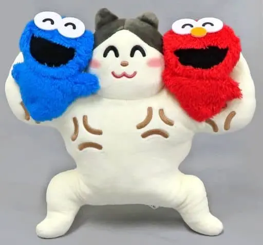 Plush - Sesame Street / Cookie Monster & Elmo