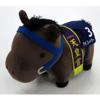 Plush - Thoroughbred collection