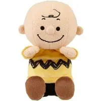 Plush - PEANUTS / Charlie Brown