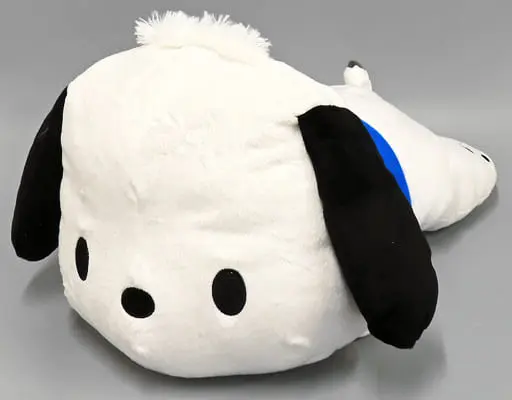 Plush - Sanrio / Pochacco