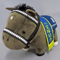 Plush - Thoroughbred collection