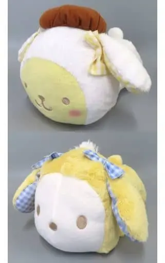 Plush - Sanrio characters / Pom Pom Purin & Pochacco