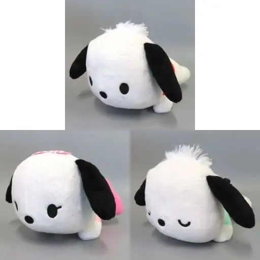 Plush - Sanrio / Pochacco