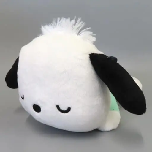 Plush - Sanrio / Pochacco