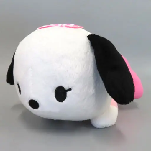 Plush - Sanrio / Pochacco