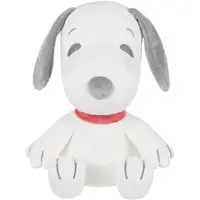 Plush - PEANUTS / Snoopy