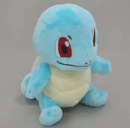 Pokemon fit - Pokémon / Squirtle