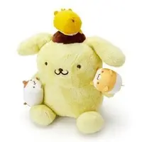 Plush - Sanrio / Pom Pom Purin