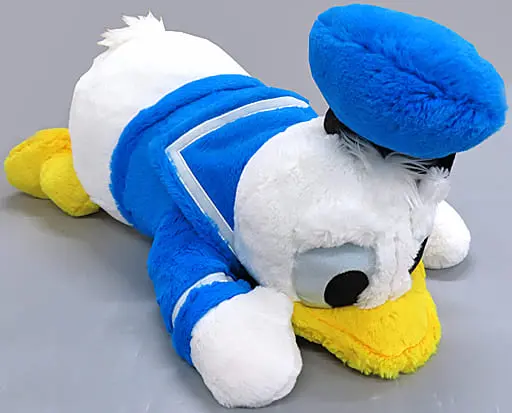 Plush - Disney / Donald Duck