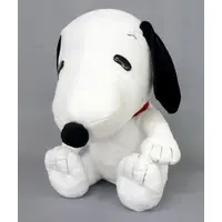 Plush - PEANUTS / Snoopy