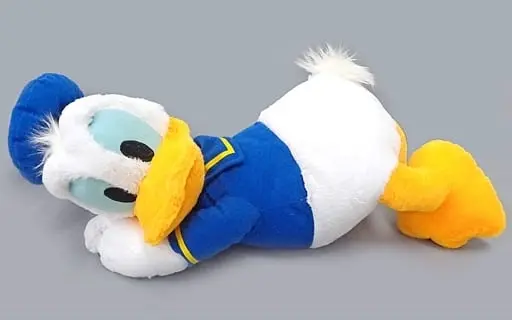 Plush - Disney / Donald Duck