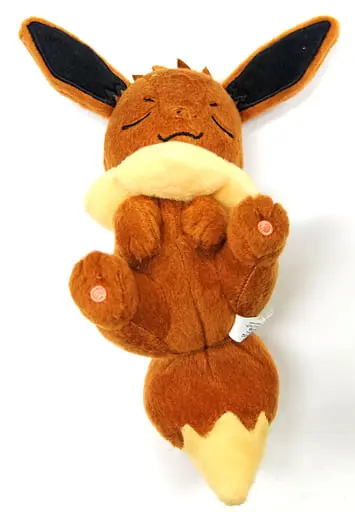 Plush - Pokémon / Eevee