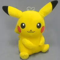 Plush - Pokémon / Pikachu