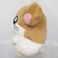 Plush - Tottoko Hamutarou