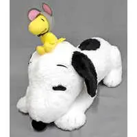 Plush - PEANUTS / Snoopy