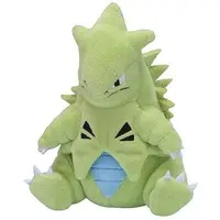 Pokemon fit - Pokémon / Tyranitar