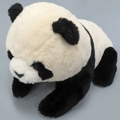 Plush - Panda
