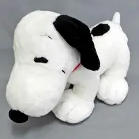 Plush - PEANUTS / Snoopy