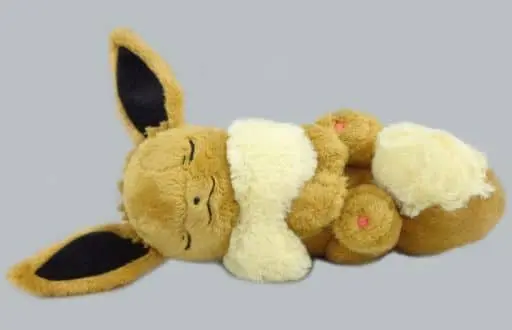 Plush - Pokémon / Eevee