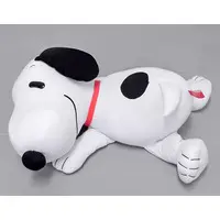 Plush - PEANUTS / Snoopy