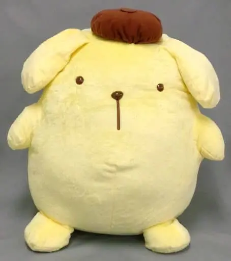 Plush - Sanrio / Pom Pom Purin