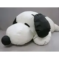 Plush - PEANUTS / Snoopy