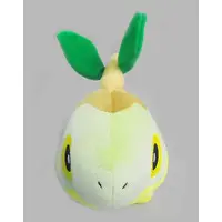 Plush - Pokémon / Turtwig