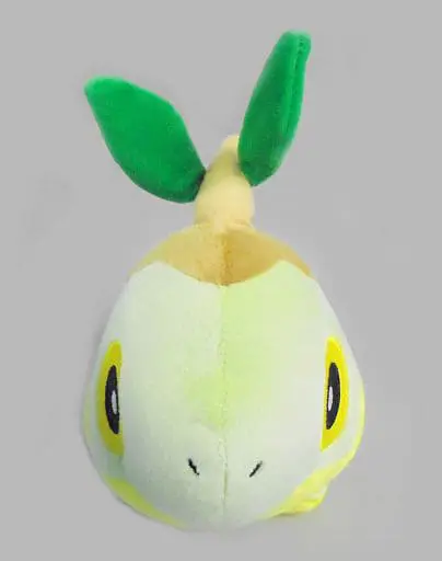 Plush - Pokémon / Turtwig