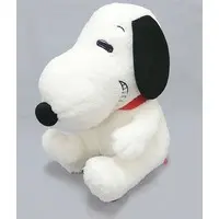 Plush - PEANUTS / Snoopy