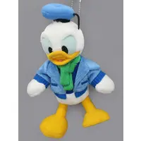 Plush - Disney / Donald Duck