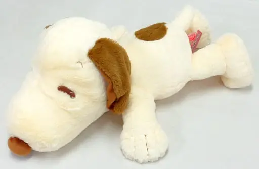 Plush - PEANUTS / Snoopy