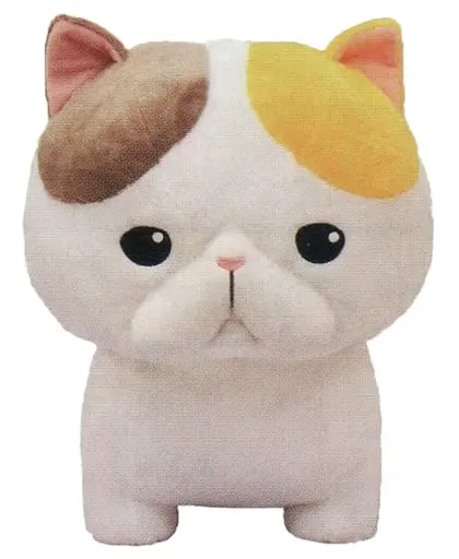 Plush - Cat