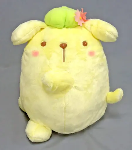 Plush - Sanrio / Pom Pom Purin