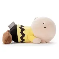 Plush - PEANUTS / Charlie Brown