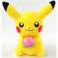 Plush - Pokémon / Pikachu